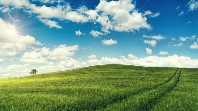訊息轉知-中華民國智障者體育運動協會辦理「112年特殊奧林匹克滾球競賽暨2023年國際特奧東亞區融合滾球代表隊選拔賽」