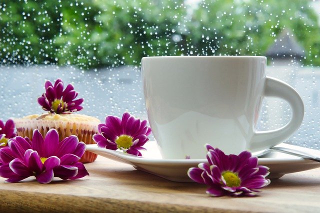 轉知時雨學校財團法人新北市私立時雨高級中學國中部招生資訊