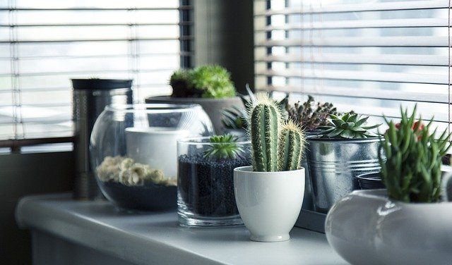 2021自主學習的探究、實踐與反思學術研討會